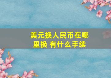 美元换人民币在哪里换 有什么手续